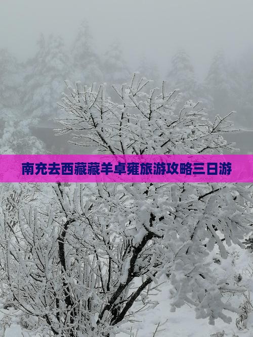 南充去西藏羊卓雍措三日游