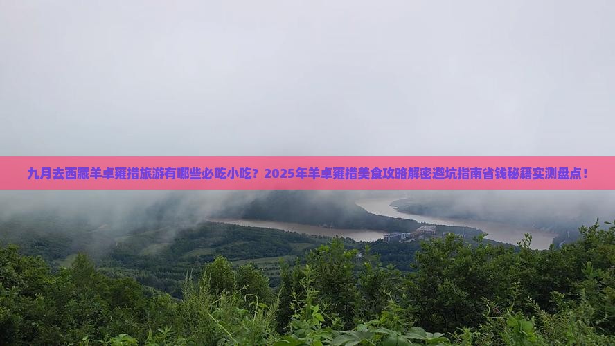 九月到西藏羊卓雍措旅游小吃