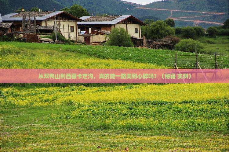 双鸭山到西藏卡定沟旅游