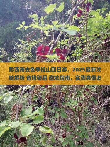 黔西南去西藏色季拉山四日游