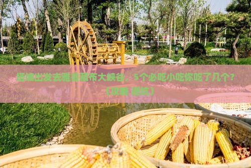 塔城去西藏雅鲁藏布大峡谷旅游小吃