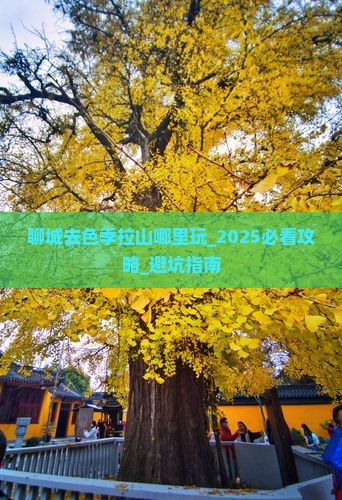 聊城去西藏色季拉山哪里玩