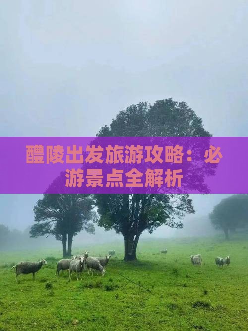 醴陵去西藏景点