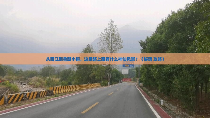 阳江到西藏鲁朗小镇哪里玩