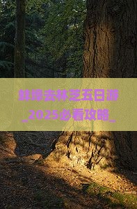 蚌埠去西藏林芝五日游