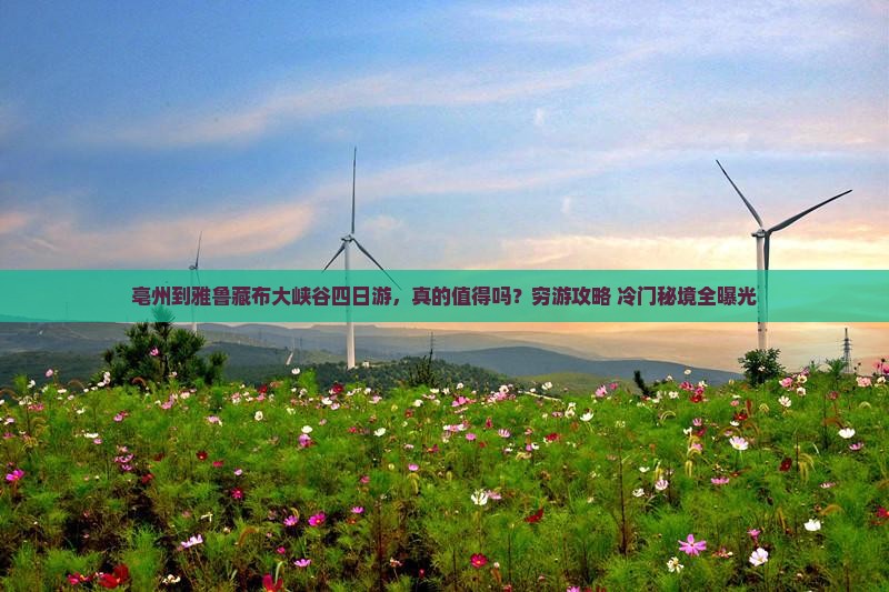 亳州到西藏雅鲁藏布大峡谷四日游