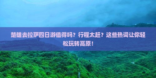 楚雄去西藏拉萨四日游