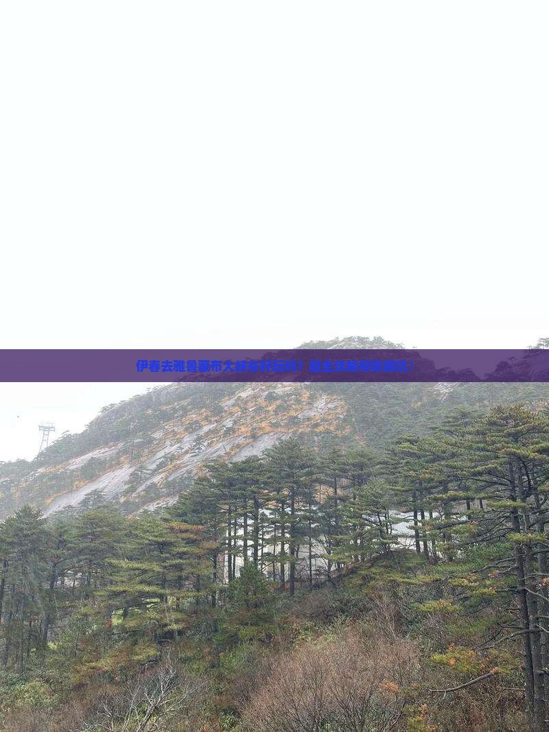 伊春去西藏雅鲁藏布大峡谷大型旅游团