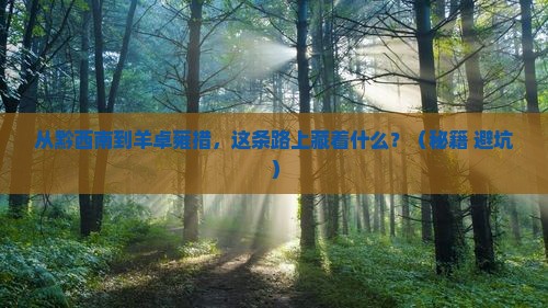 黔西南到西藏羊卓雍措哪里玩