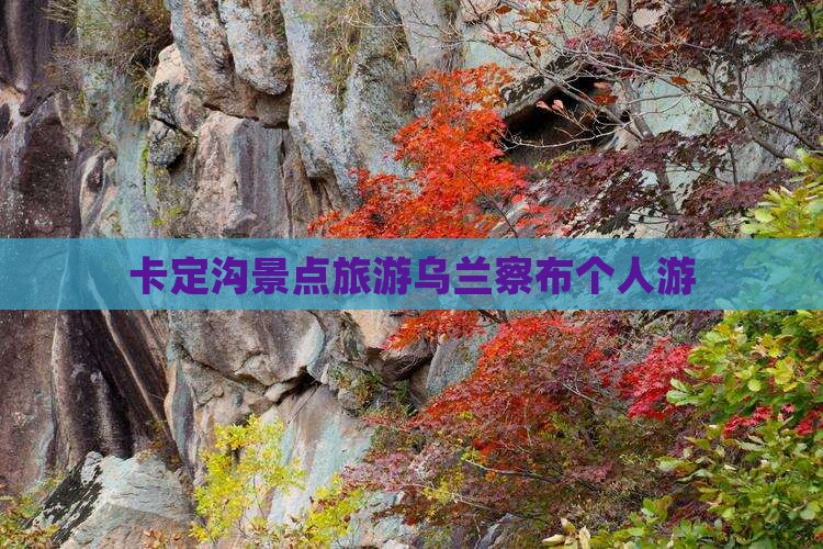 乌兰察布去西藏卡定沟个人游
