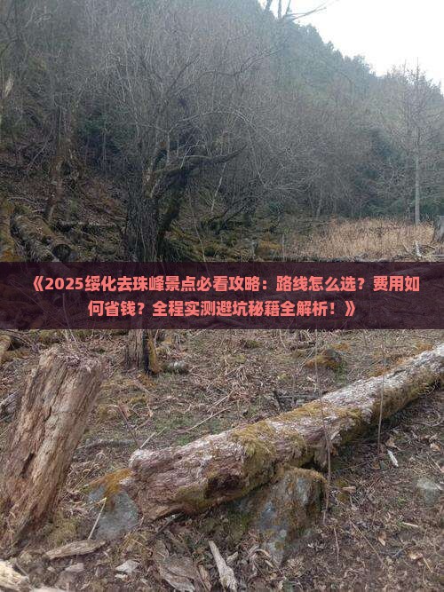 绥化去西藏珠峰大本营景点