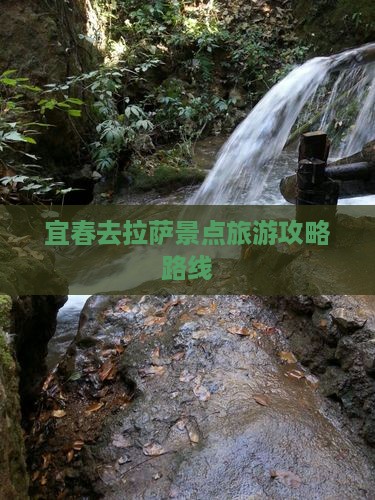 宜春去西藏拉萨景点