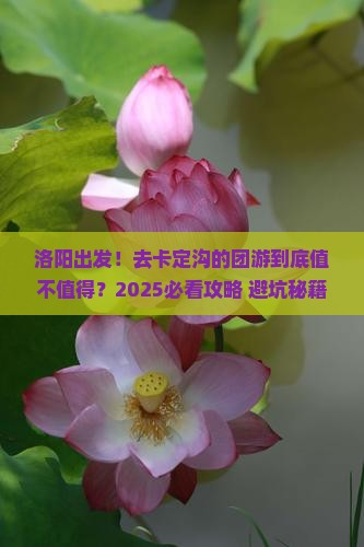 洛阳到西藏卡定沟团体旅游