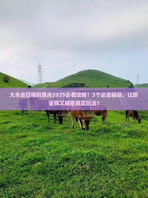 大丰去西藏日喀则景点