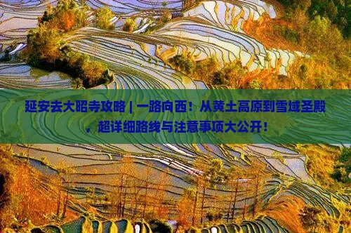 延安去西藏大昭寺攻略