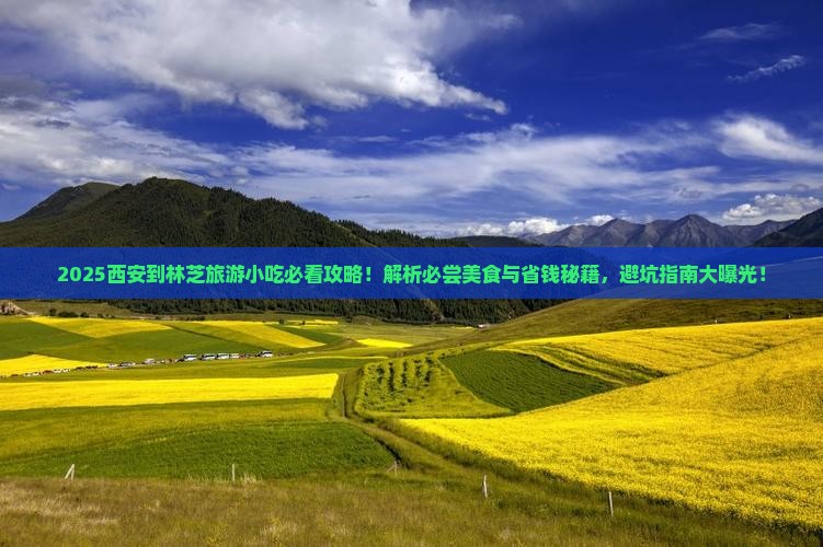 西安到西藏林芝旅游小吃