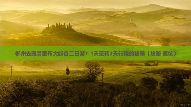 郴州去西藏雅鲁藏布大峡谷二日游