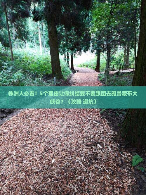 株洲去西藏雅鲁藏布大峡谷大型旅游团