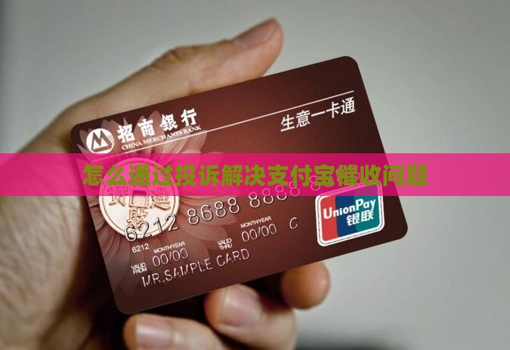怎么通过投诉解决支付宝催收问题