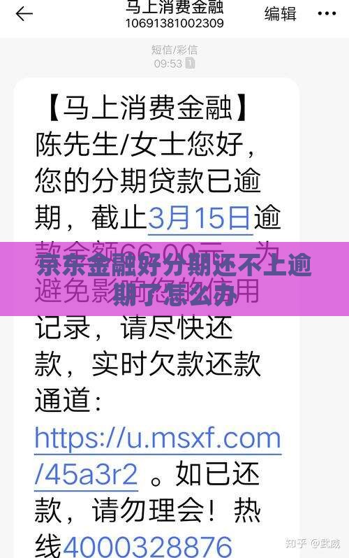 京东金融好分期还不上逾期了怎么办