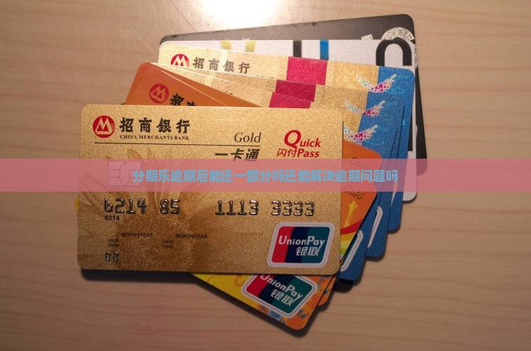 分期乐逾期后能还一部分吗还能解决逾期问题吗