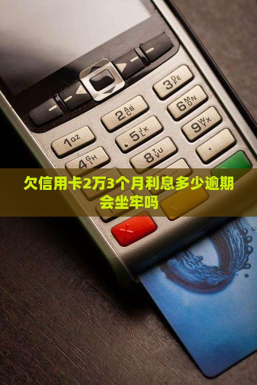 欠信用卡2万3个月利息多少逾期会坐牢吗