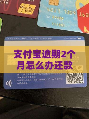 支付宝逾期2个月怎么办还款方式
