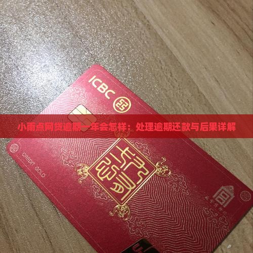 小雨点网贷逾期一年会怎样：处理逾期还款与后果详解