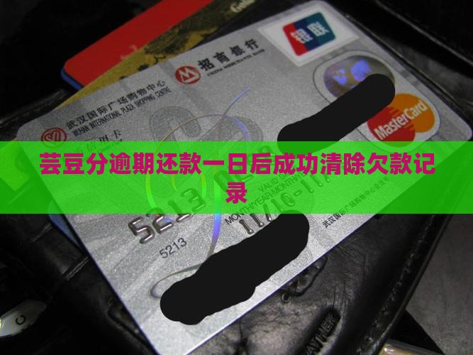 芸豆分逾期还款一日后成功清除欠款记录