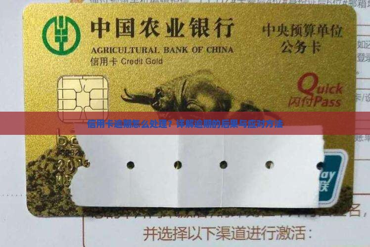 信用卡逾期怎么处理？详解逾期的后果与应对方法