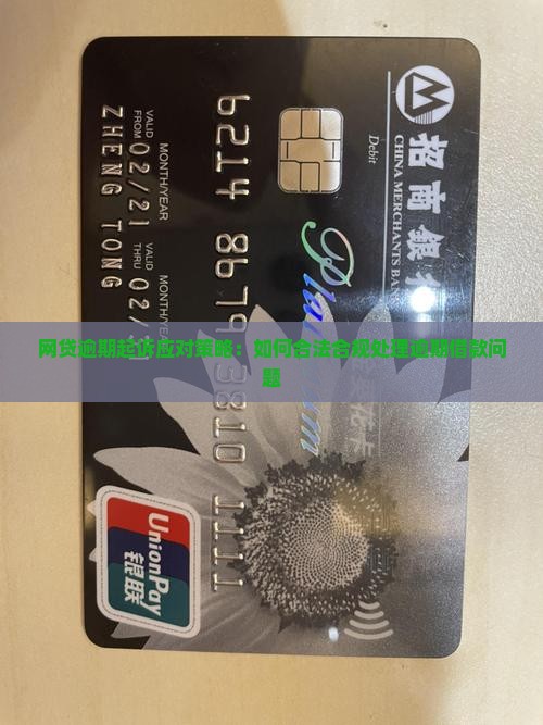 网贷逾期起诉应对策略：如何合法合规处理逾期借款问题