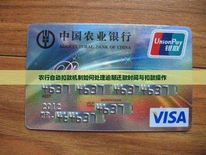 农行自动扣款机制如何处理逾期还款时间与扣款操作