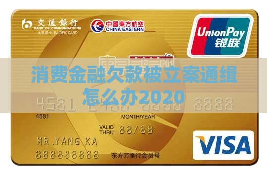 消费金融欠款被立案通缉怎么办2020