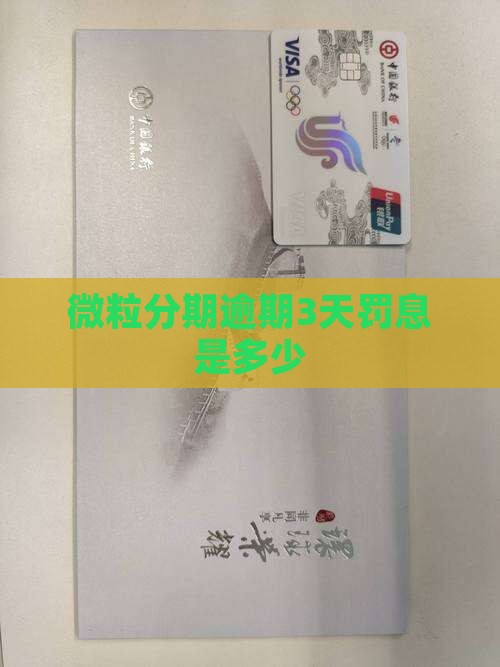 微粒分期逾期3天罚息是多少