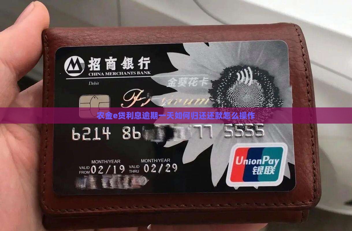 农金e贷利息逾期一天如何归还还款怎么操作