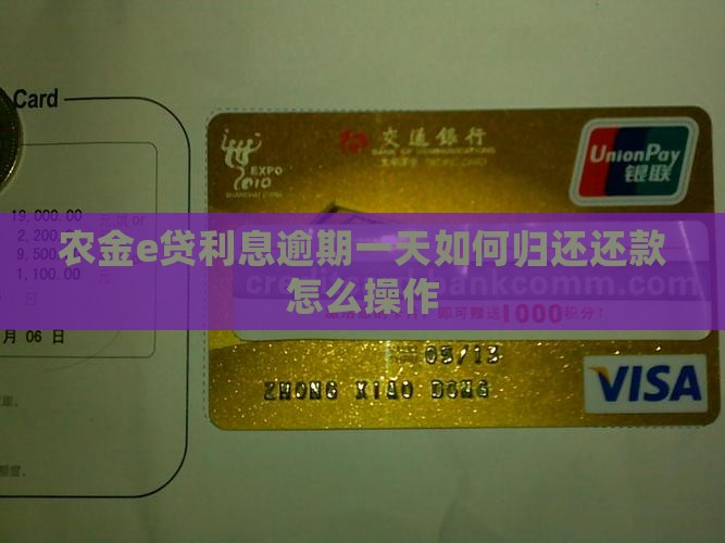 农金e贷利息逾期一天如何归还还款怎么操作
