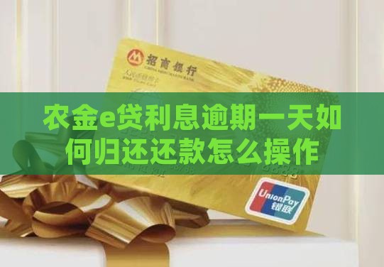 农金e贷利息逾期一天如何归还还款怎么操作