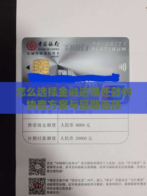 怎么选择金融逾期还款的协商方案与延期选择