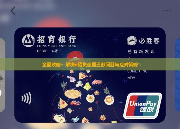 全面攻略：解决e招贷逾期还款问题与应对策略