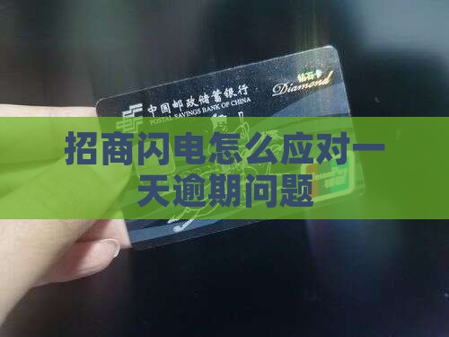 招商闪电怎么应对一天逾期问题