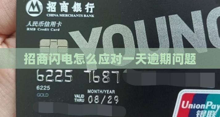 招商闪电怎么应对一天逾期问题