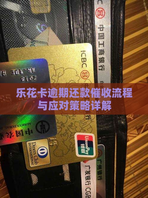 乐花卡逾期还款催收流程与应对策略详解
