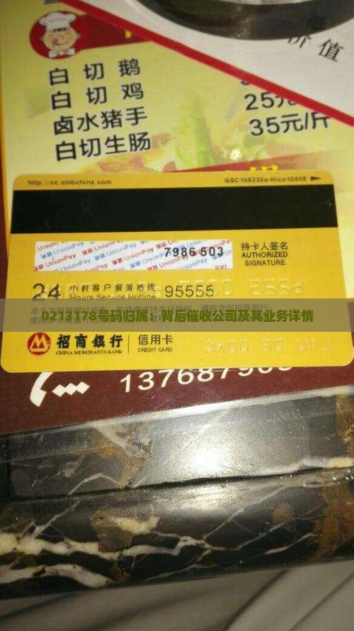 0213178号码归属：背后催收公司及其业务详情