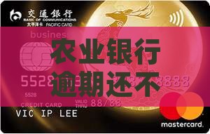 农业银行逾期还不上怎么办？后果及解决办法