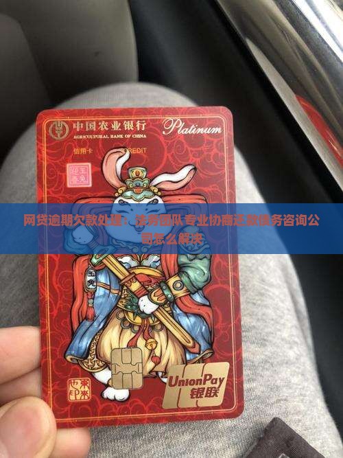 网贷逾期欠款处理：法务团队专业协商还款债务咨询公司怎么解决