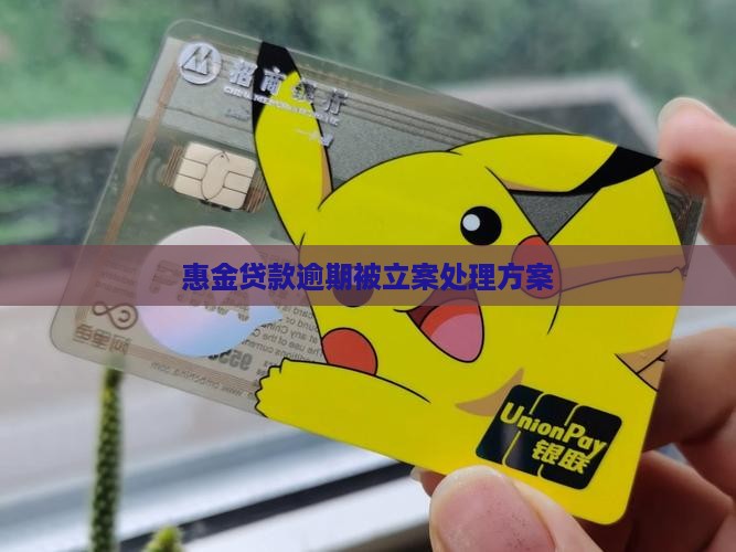 惠金贷款逾期被立案处理方案