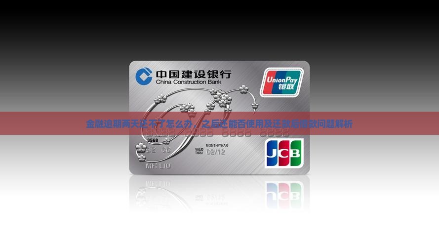 金融逾期两天还不了怎么办，之后还能否使用及还款后借款问题解析