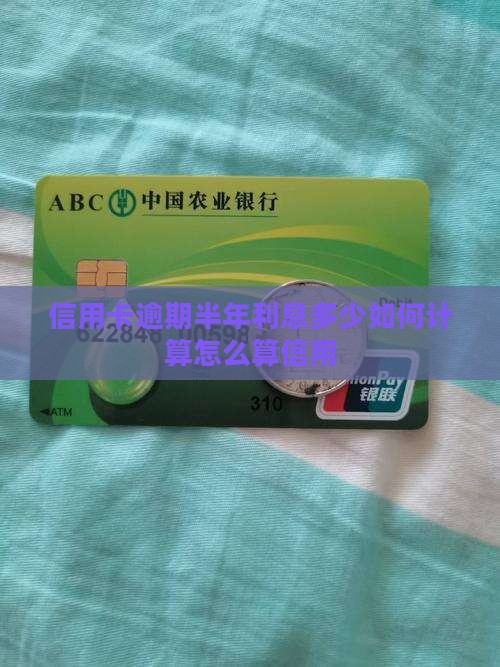 信用卡逾期半年利息多少如何计算怎么算信用