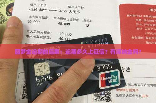 圆梦金逾期的后果：逾期多久上征信？有滞纳金吗？