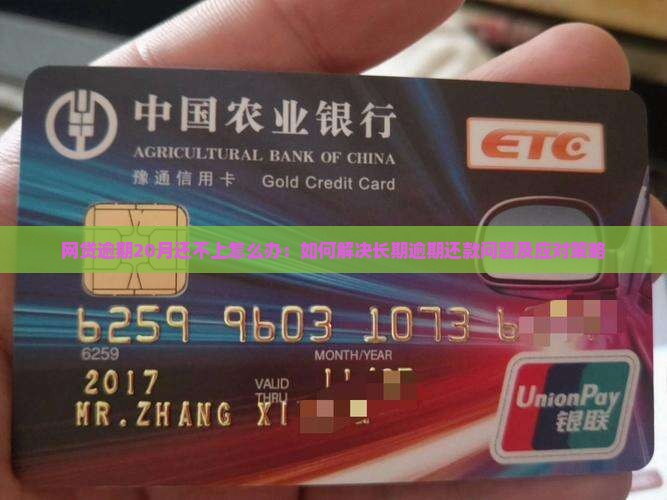 网贷逾期20月还不上怎么办：如何解决长期逾期还款问题及应对策略